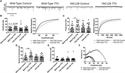 Impairment and Restoration of Homeostatic Plasticity in Cultured Cortical Neurons From a Mouse Model of Huntington Disease